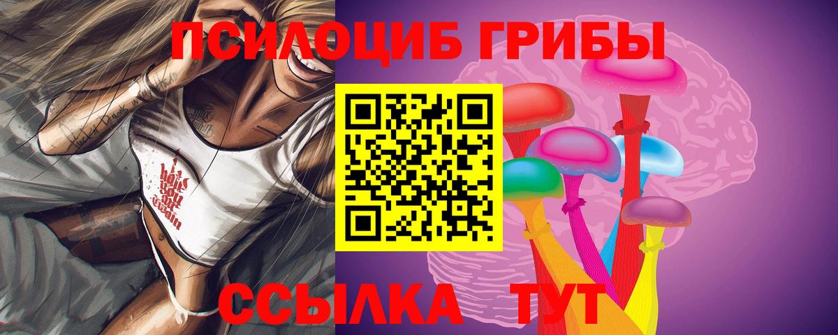 Тосно  Псилоцибиновые грибы мухоморы  купить наркоту  Галлюциногенные грибы Psilocybe  Вход с VPN 